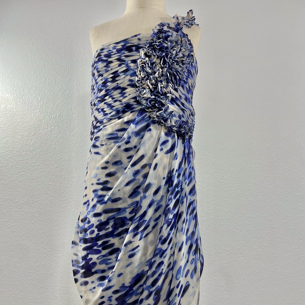 Gorgeous blue and cream  BCBG MAXAZRIA  Size02